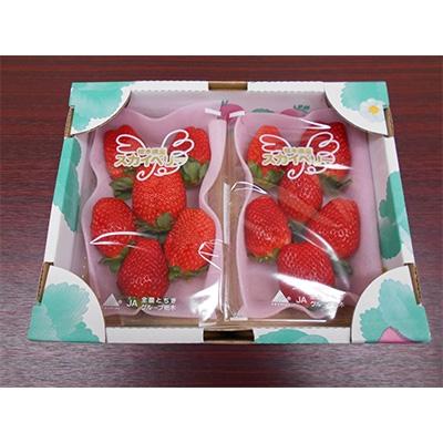 ふるさと納税 上三川町 田口いちごファームのいちご「スカイベリー」315g×2パック