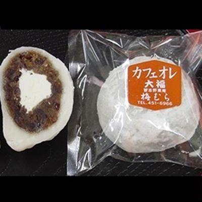 ふるさと納税 習志野市 [習志野銘菓]カフェオレ大福 10個入