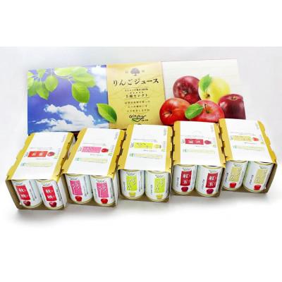 ふるさと納税 長野県 信州りんごジュース5種セレクト(紅玉)　160g×6本×5種類 |  | 01