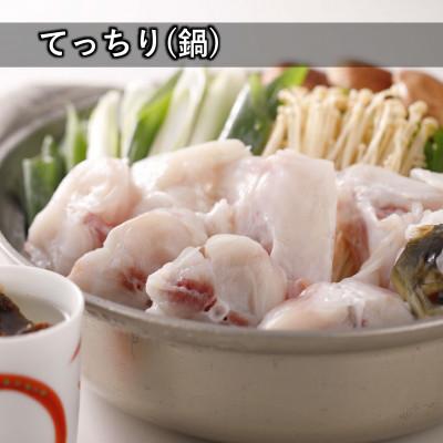 ふるさと納税 上天草市 【竹】とらふぐフルコース『焼きひれ/特製ポン酢/もみじおろし付き』_3