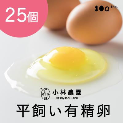 ふるさと納税 厚真町 小林農園の平飼い有精卵 25個