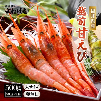 ふるさと納税 美浜町 お世話になったあの方へ☆[のし付き]越前甘エビ[卵なし大サイズ]約30尾/1箱