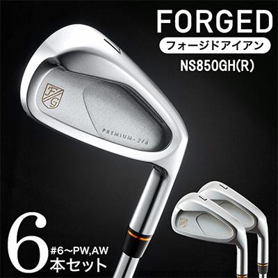 ふるさと納税 市川町 PREMIUM-216 CAVITY #6〜Pw,Aw(NS850 R)