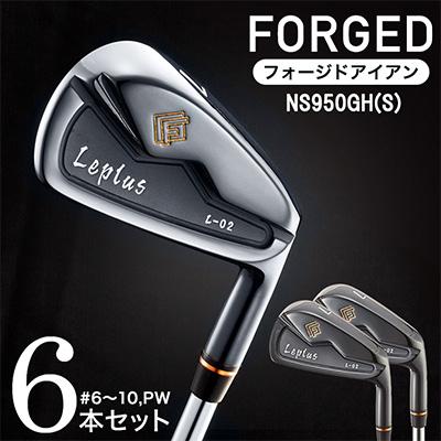 ふるさと納税 市川町 FG-Leplus L-02アイアン #6〜10,Pw(NS950GH S)