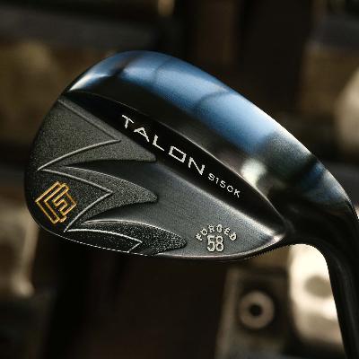 ふるさと納税 市川町 FG.TALONウェッジ TW-101 ロフト選択(NS950GH S)