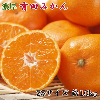 ふるさと納税 湯浅町 [秀品]和歌山有田みかん10kg(2Sサイズ)「先行受付2026年11月中旬より順次発送」