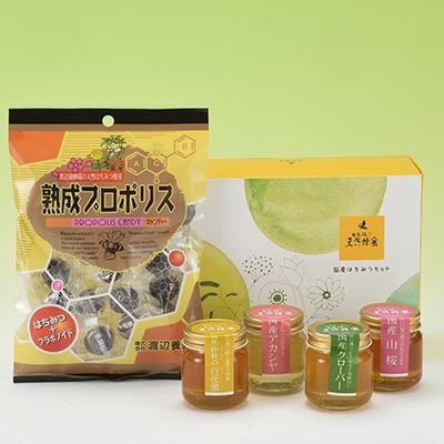 ふるさと納税 二本松市 [はちみつセットA]4種のはちみつ各50g入りセット