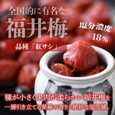 ふるさと納税 小浜市 自家製梅干し(900g×2箱) |  | 01
