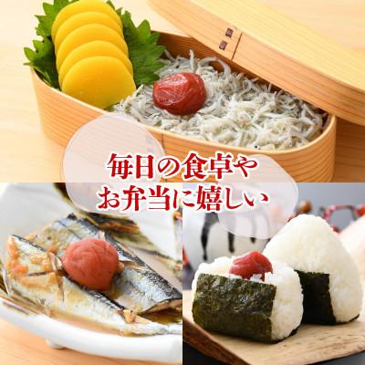 ふるさと納税 小浜市 自家製梅干し(900g×2箱) |  | 03