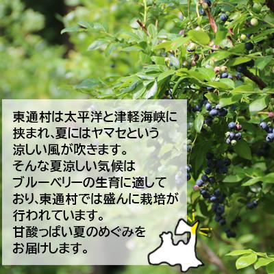 ふるさと納税 東通村 冷凍ブルーベリー2.0kg(1.0kg×2袋)「青森県東通村産」 |  | 01