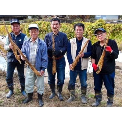 ふるさと納税 上郡町 皆坂の土地で栽培した自然薯 |  | 03
