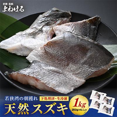 ふるさと納税 美浜町 下処理済!生冷凍!だから人気!若狭湾の朝獲れ天然スズキ1kg(250g×4パック)