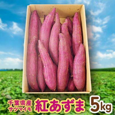 ふるさと納税 芝山町 サツマイモ(紅あずま)5kg