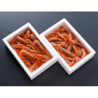 ふるさと納税 留萌市 【漁師捕れたて　留萌産】ナンバンエビ(甘エビ)　400g×2箱入り |  | 01