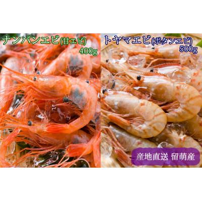 ふるさと納税 留萌市 【漁師採りたて　留萌産】トヤマエビ(ぼたんえび)・ナンバンエビ　各1箱 | 