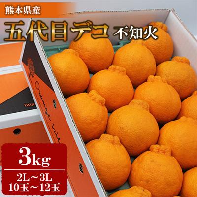 ふるさと納税 水俣市 [先行受付]五代目デコ3kg(10玉〜12玉)[令和8年2月下旬より順次発送]