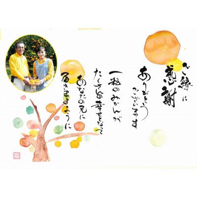 ふるさと納税 宇城市 先行予約 レモン 食べるレモン スイートレモネード 2kg |  | 03