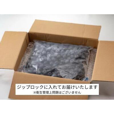 ふるさと納税 岩手町 冷凍ブルーベリー【1kg】|無添加・スムージー用