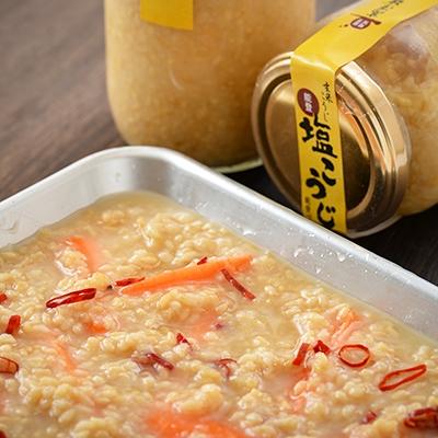 ふるさと納税 羽咋市 玄米 塩こうじ420g×3本
