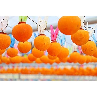 ふるさと納税 香春町 (2026年秋発送、先行受付)糖度30度以上!!採銅所のあま干し柿