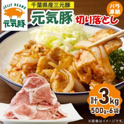 ふるさと納税 多古町 【小分けで便利】国産 元気豚 切り落とし 3kg(500g×6袋)　千葉県産三元豚　パラパラ凍結