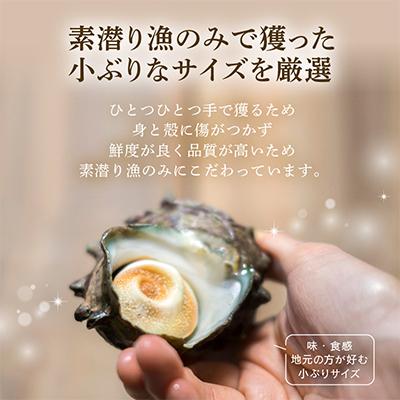ふるさと納税 美浜町 福井・若狭湾の素潜り　活サザエ　700g(6〜10個) |  | 02