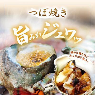 ふるさと納税 美浜町 【金曜日発送】福井・若狭湾の素潜り活サザエ　700g　(6〜10個) |  | 02