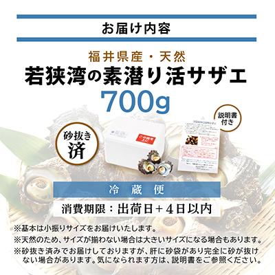 ふるさと納税 美浜町 【金曜日発送】福井・若狭湾の素潜り活サザエ　700g　(6〜10個) |  | 03