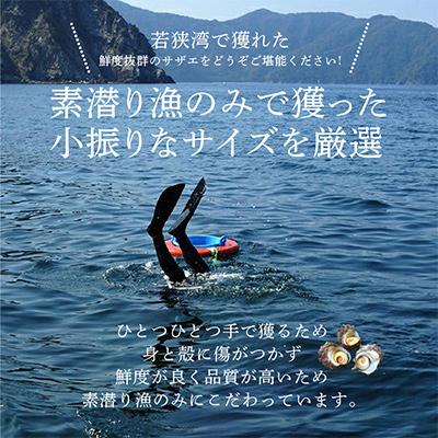 ふるさと納税 美浜町 大人気☆活サザエをそのままボイルしました!若狭湾の素潜りサザエ700g(350g×2パック) |  | 02