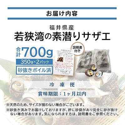 ふるさと納税 美浜町 大人気☆活サザエをそのままボイルしました!若狭湾の素潜りサザエ700g(350g×2パック) |  | 03