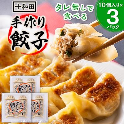 ふるさと納税 十和田市 タレ無しで食べる十和田の手作り餃子 1パック(10個入り)×3