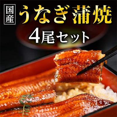ふるさと納税 吉田町 国産うなぎ蒲焼・4尾セット[マルニうなぎ加工(株)]
