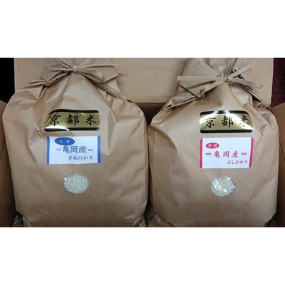 ふるさと納税 亀岡市 [令和7年産]契約農家の亀岡米 食べ比べセット (こしひかり5kg、きぬひかり5kg)