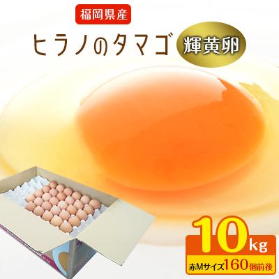 ふるさと納税 筑前町 ボリュームサイズ!ヒラノのたまご[輝黄卵(きおうらん)]赤Mサイズ10kg(160個前後)