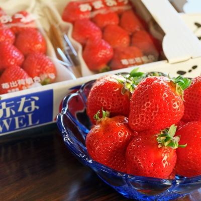 ふるさと納税 筑前町 福岡県産あまおう(いちご)4パック