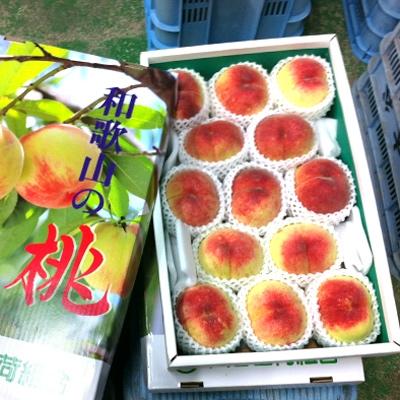 ふるさと納税 和歌山市 和歌山産 桃 サイズ・品種おまかせ 11〜16玉 約4kg