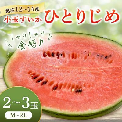 ふるさと納税 御坊市 小玉すいか ≪ひとりじめ≫ 2〜3玉
