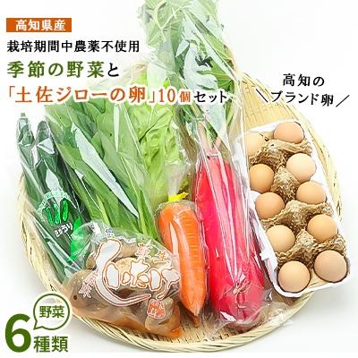 ふるさと納税 香美市 [高知県産]栽培期間中農薬不使用・季節の野菜と高知のブランド卵「土佐ジローの卵」セット