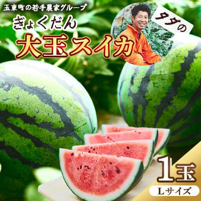 ふるさと納税 玉東町 [先行受付]玉東産 ぎょくだんダダの大玉スイカ(1玉、Lサイズ)