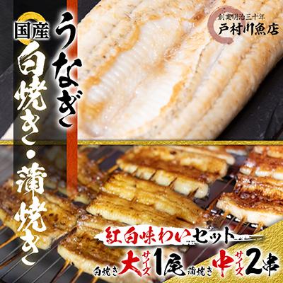 ふるさと納税 香取市 [紅白味わいセット]国産うなぎの白焼き大1匹・蒲焼き中2串[戸村川魚店]