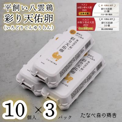 ふるさと納税 雲南市 平飼い八雲鶏(やくもどり) 彩り天佑卵(てんゆうらん) 10個×3パック 計卵30個