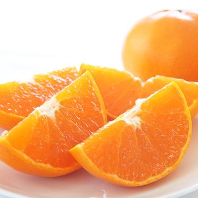 ふるさと納税 湯浅町 [高級]柑橘の王様 和歌山有田の濃厚せとか 約4〜5kg