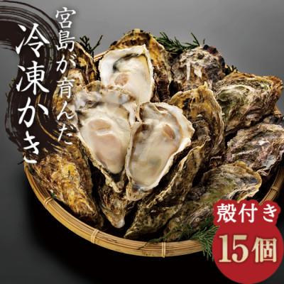ふるさと納税 廿日市市 宮島が育んだ冷凍牡蠣(殻付き)15ヶ入