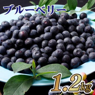 ふるさと納税 佐世保市 冷凍ブルーベリー「あいあいの雫」約300g×4