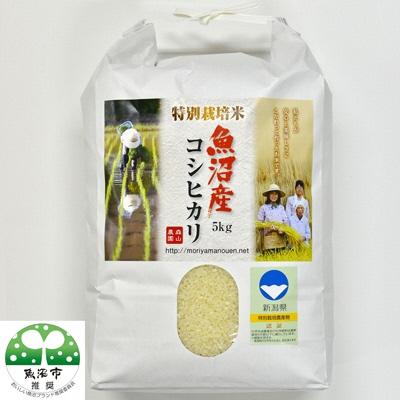 ふるさと納税 魚沼市 令和7年産森山農園特別栽培米魚沼産コシヒカリ(新潟県認証)5kg