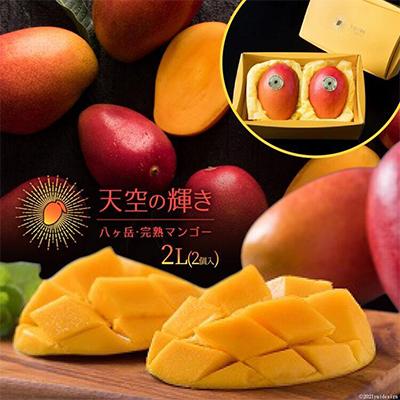 ふるさと納税 韮崎市 [先行受付]「天空の輝き」完熟マンゴー2L(2個入り)