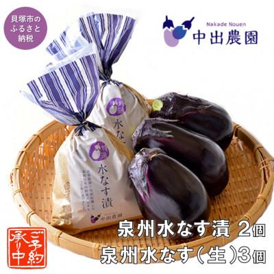 ふるさと納税 貝塚市 中出農園 特撰!泉州水なす漬2個+生水なす3個セット/先行受付・令和8年5月初旬〜順次発送、農家直送