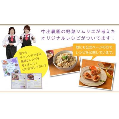 ふるさと納税 貝塚市 中出農園　特撰!泉州水なす漬2個+生水なす3個セット/先行受付・令和9年5月初旬〜順次発送、農家直送 |  | 03