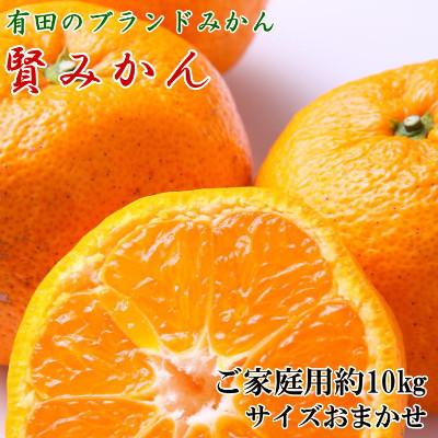 ふるさと納税 湯浅町 先行受付2026年11月〜発送[ご家庭用]有田ブランド「賢みかん」約10kg(S〜Lサイズおまかせ)
