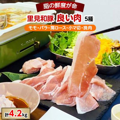 ふるさと納税 南房総市 里見和豚 良い肉(4.2kgUP) 5種
